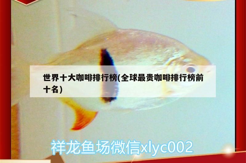 世界十大咖啡排行榜，全球最貴前十