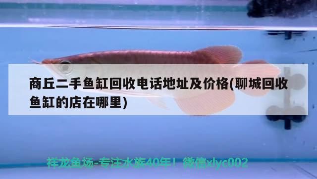 二手魚缸回收，電話地址價格全知曉，聊城回收店 二手魚缸回收，電話地址價格全知曉，聊城回收店 可麗愛魚缸
