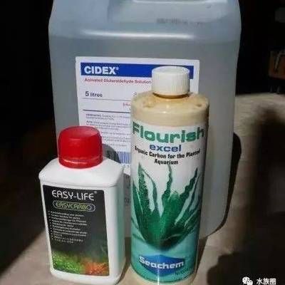 魚缸換水全攻略，詳細(xì)視頻教程教你科學(xué)換水