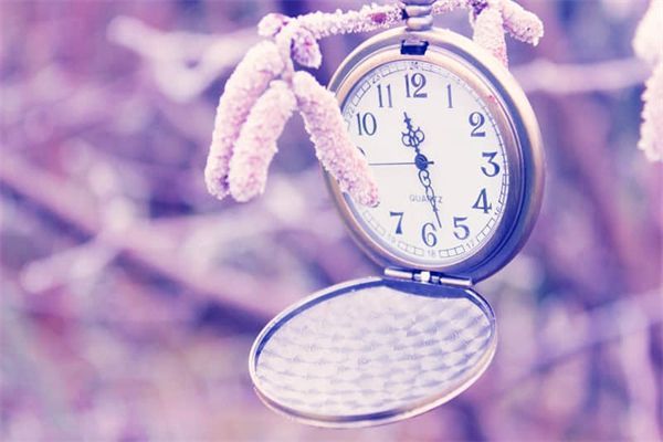 龍鳳錦鯉與蝴蝶鯉，外觀習性等全方位區別大