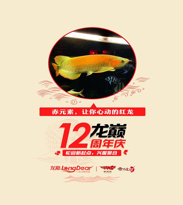 瀾閣赤元素齊賀，祝龍巔12周歲生日