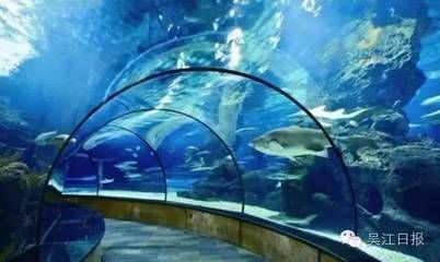 海洋館，世界最大內陸館，探秘中國水族館 海洋館，世界最大內陸館，探秘中國水族館 水族館百科（水族館加盟） 第1張