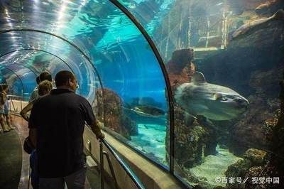 海洋館，世界最大內陸館，探秘中國水族館 海洋館，世界最大內陸館，探秘中國水族館 水族館百科（水族館加盟） 第4張