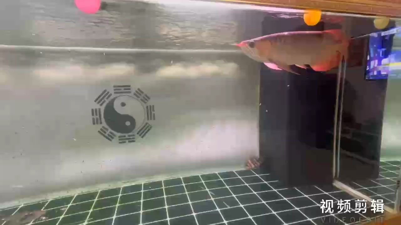 每日打卡，記錄生活點滴，見證堅持的力量與成長蛻變