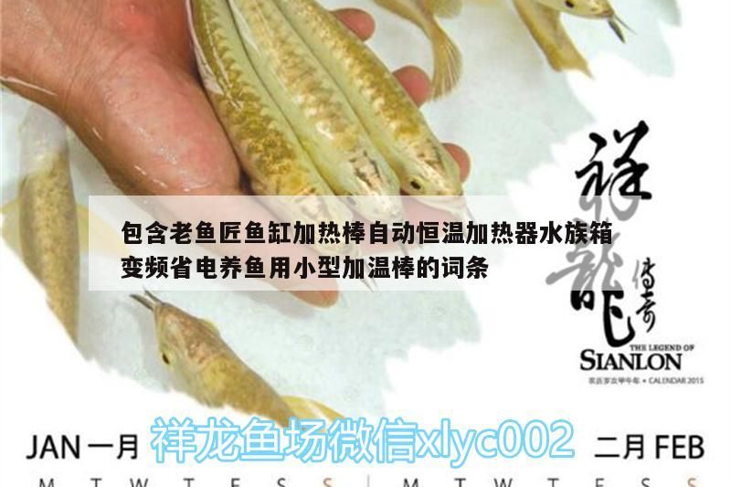 魚匠魚缸加熱棒，自動恒溫、變頻省電，小型水族箱養魚加 魚匠魚缸加熱棒，自動恒溫、變頻省電，小型水族箱養魚加 老魚匠