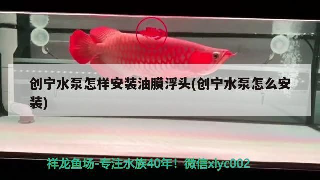 寧水泵油膜浮頭安裝方法及