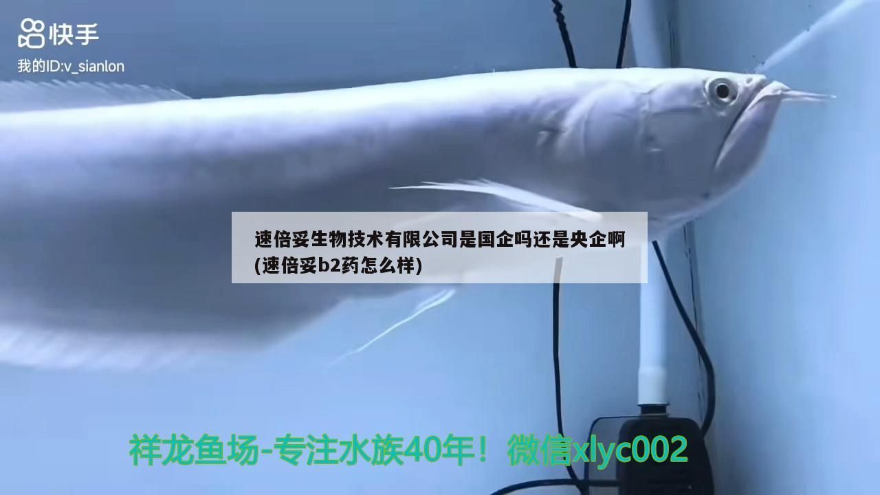 倍妥生物技術有限公司性質探究及速倍妥B2藥相關 倍妥生物技術有限公司性質探究及速倍妥B2藥相關 速倍妥