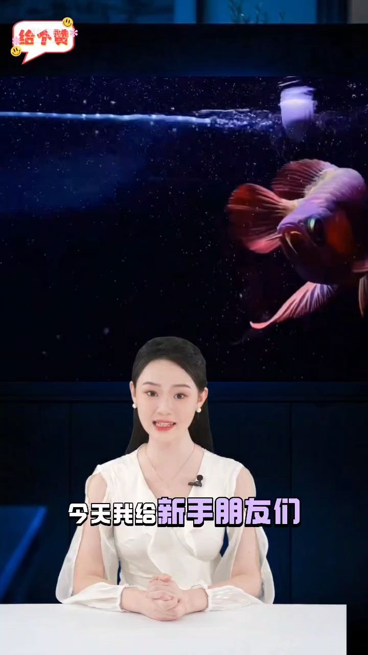 養魚必知，八條實用方法助你輕松開啟水