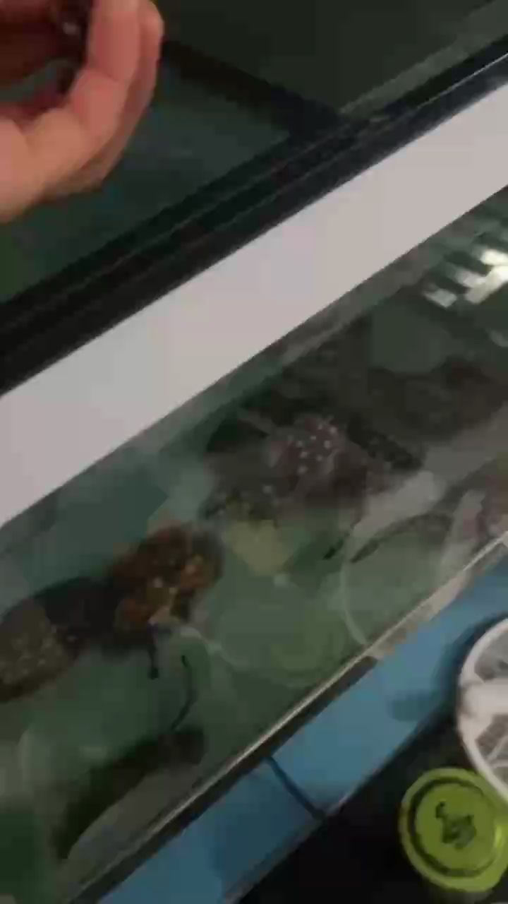 穩定開售！熱門好物持續供應，品質保障放心選購