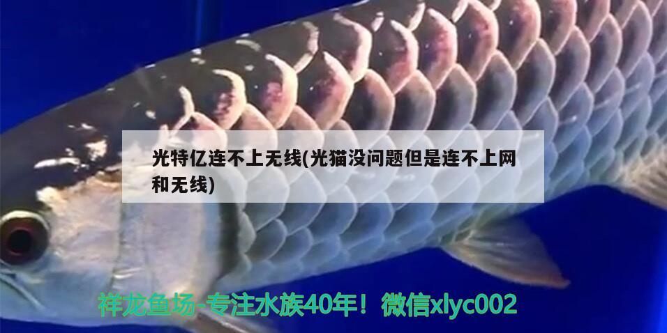 特億，光貓正常卻無線難連，上網(wǎng)受阻問題