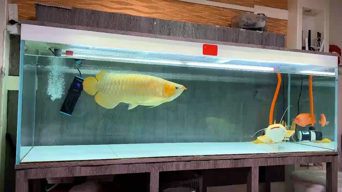 眨眼年味將至，那些熟悉的儀式感與溫暖回憶又