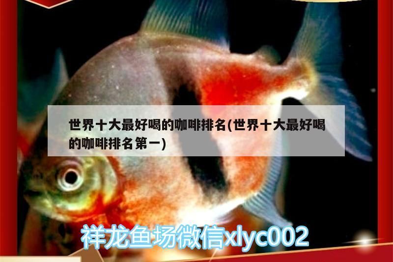 十大最好喝的咖啡排名揭曉，榜首咖啡究竟有何獨特魅力