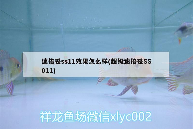 倍妥SS11/超級速倍妥SS011效果究竟如何？