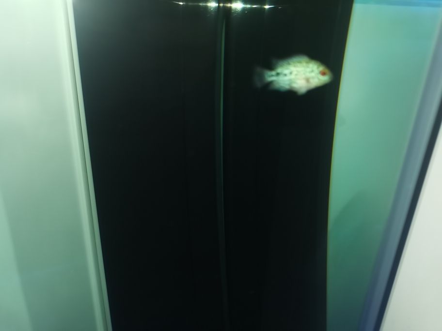 存在感啦！魚友快來評(píng)論，一起暢聊分享有趣事兒
