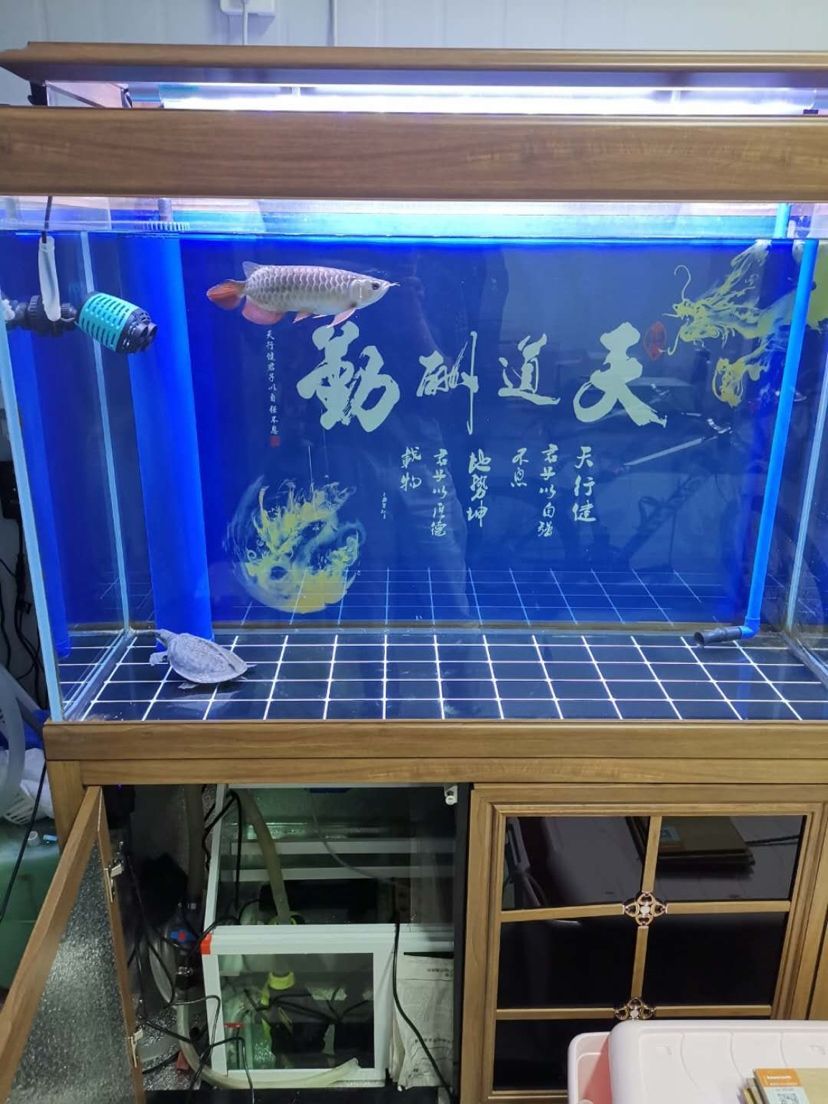 湖艾柯瑞智新品深度試用，性能體驗與細節全