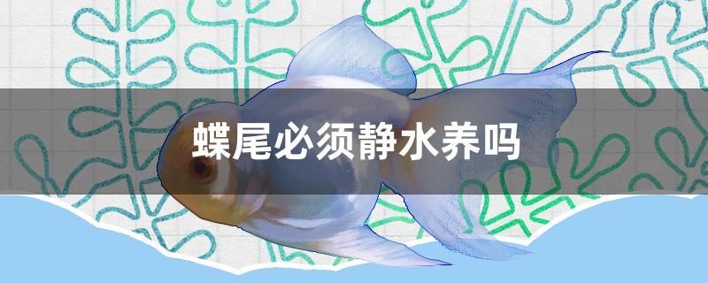 底現棕色、褐色？