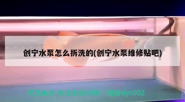 寧水泵拆洗方法及注意事項詳解（創寧水泵維修貼吧