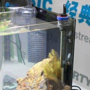0cm魚缸用8mm厚玻璃，安全與否？