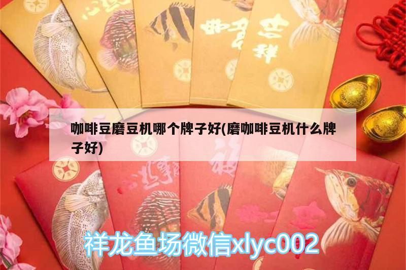 豆磨豆機哪個牌子好？