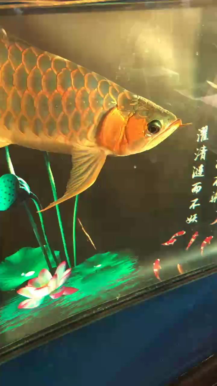 你未提供具體內容，我暫以示例生成標題。