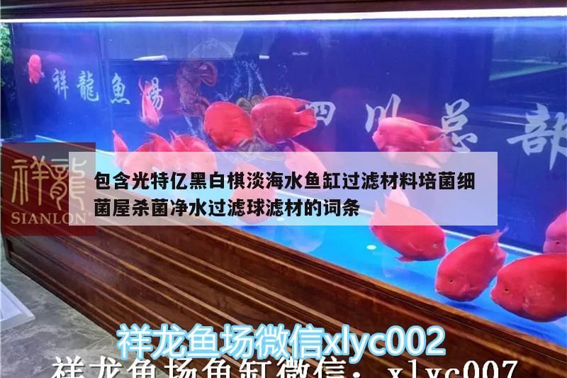 特億黑白棋淡海水魚缸過濾材料，培菌細菌屋殺菌凈水過濾球濾材