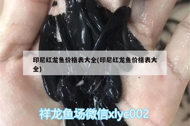 紅龍魚價(jià)格表大全，品種、規(guī)格、市場行情及