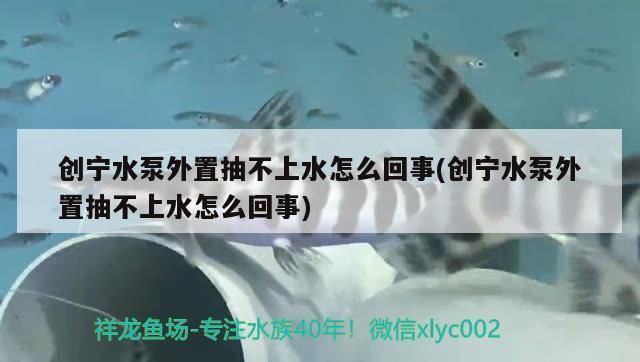 寧水泵外置抽不上水？