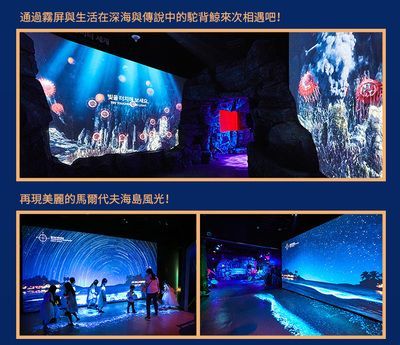 水族館選址攻略，何處適宜開(kāi)啟奇妙海洋視界之旅
