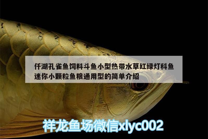 湖孔雀魚飼料，斗魚、熱帶水草等通用小