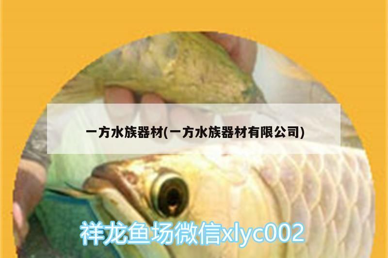 水族器材有限公司，專業(yè)水族器材供應(yīng)商，品質(zhì)與創(chuàng)新