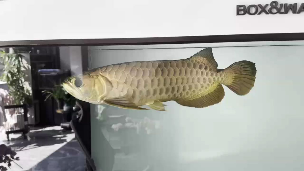 記錄，時光里的點滴，那些難忘瞬間與心路歷程的