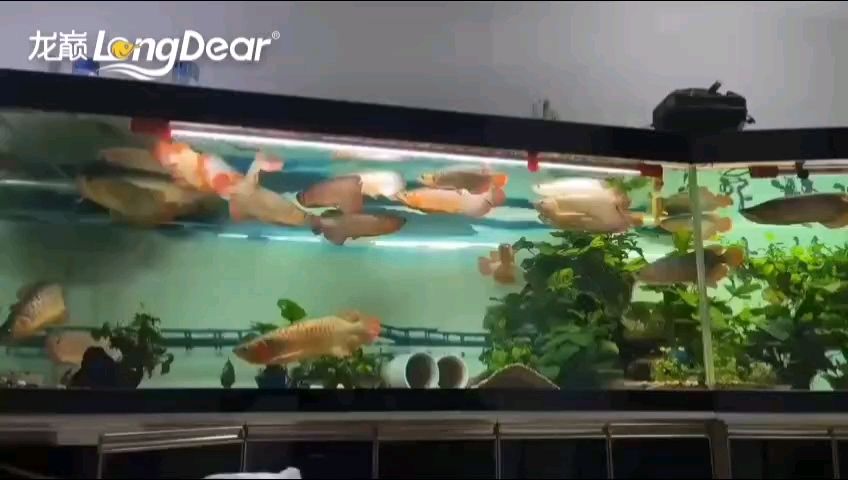轉發692，探尋背后故事，揭開這個數字的神秘面紗
