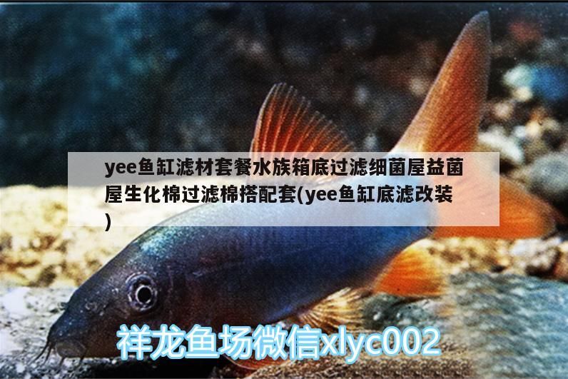ee魚缸濾材套餐，底濾改裝必備，細菌屋等