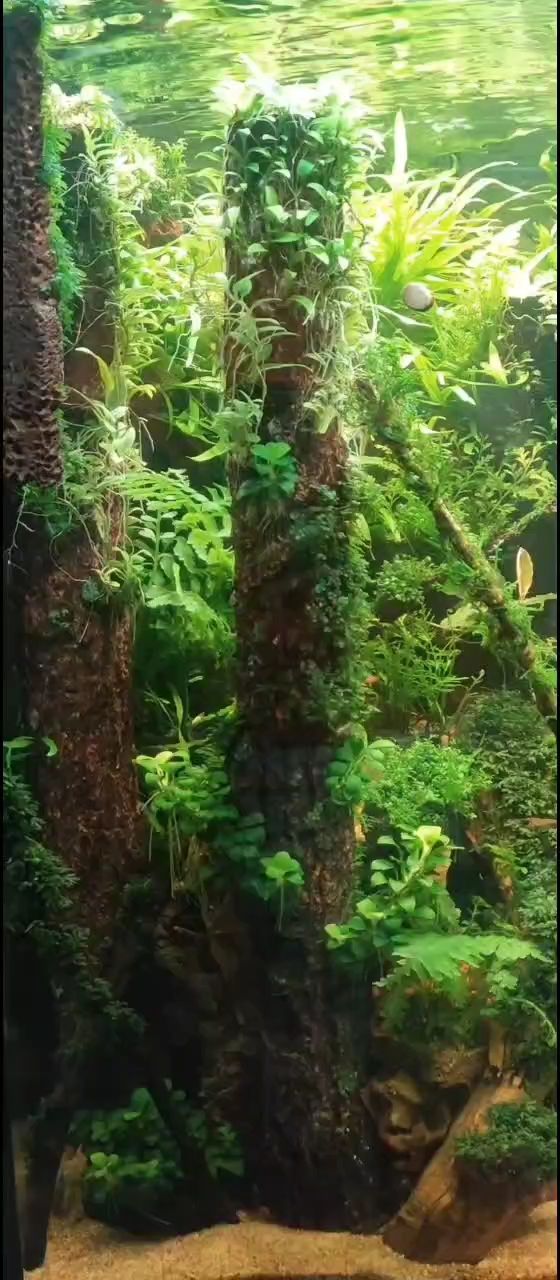 雜草叢生，荒蕪之境背后的生態