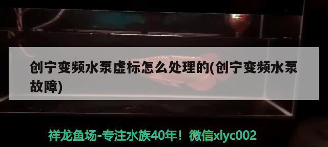 寧變頻水泵虛標問題剖析及故障
