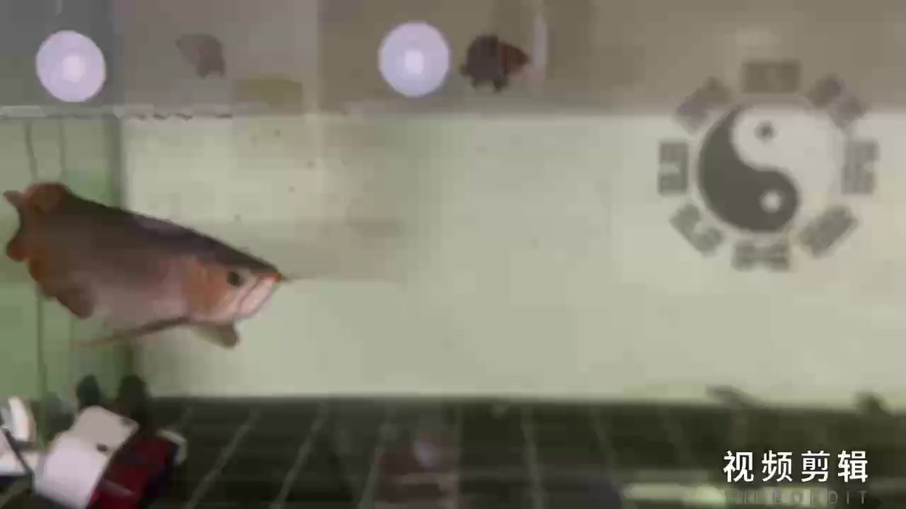 每日簽到，積累小行動，解鎖生活大不同與驚喜可能