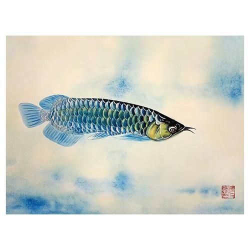 金龍魚與紅龍魚區別在哪？