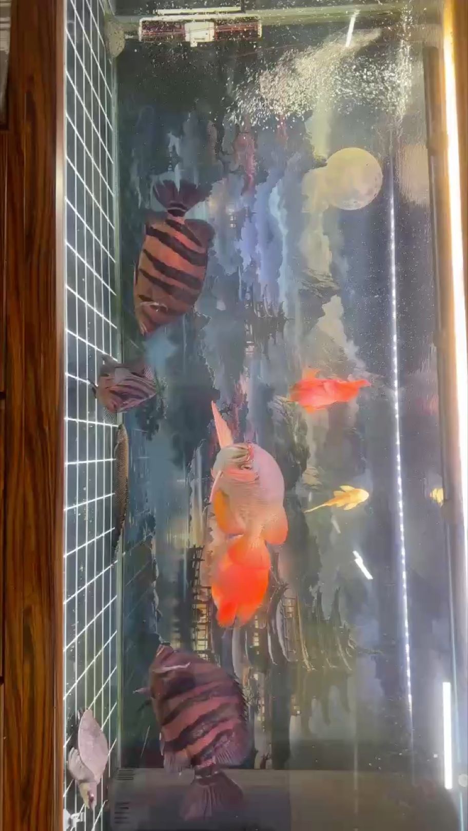 燈光效果，點亮空間氛圍，營造獨特視覺體驗的神奇魔法