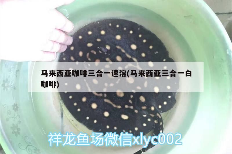 西亞咖啡三合一速溶（白咖啡），便捷醇香，盡