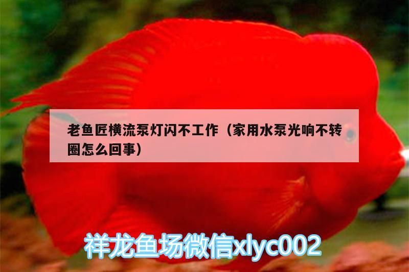 魚匠橫流泵燈閃不工作，家用水泵光響
