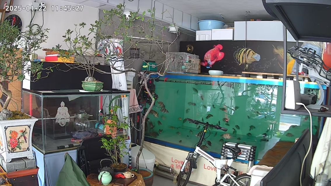 堅守愛好,于紛繁世界中,讓熱愛成為生活的至上追求 龍魚論壇 第1張 堅守愛好,于紛繁世界中,讓熱愛成為生活的至上追求 堅守愛好,于紛繁世界中,讓熱愛成為生活的至上追求 龍魚論壇 第1張