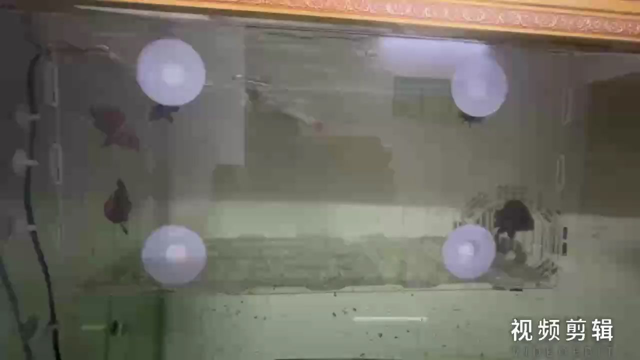 堅持打卡，見證點滴