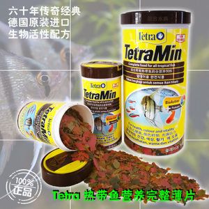 金龍魚價格探秘，一只究竟多少錢及背后市場因素