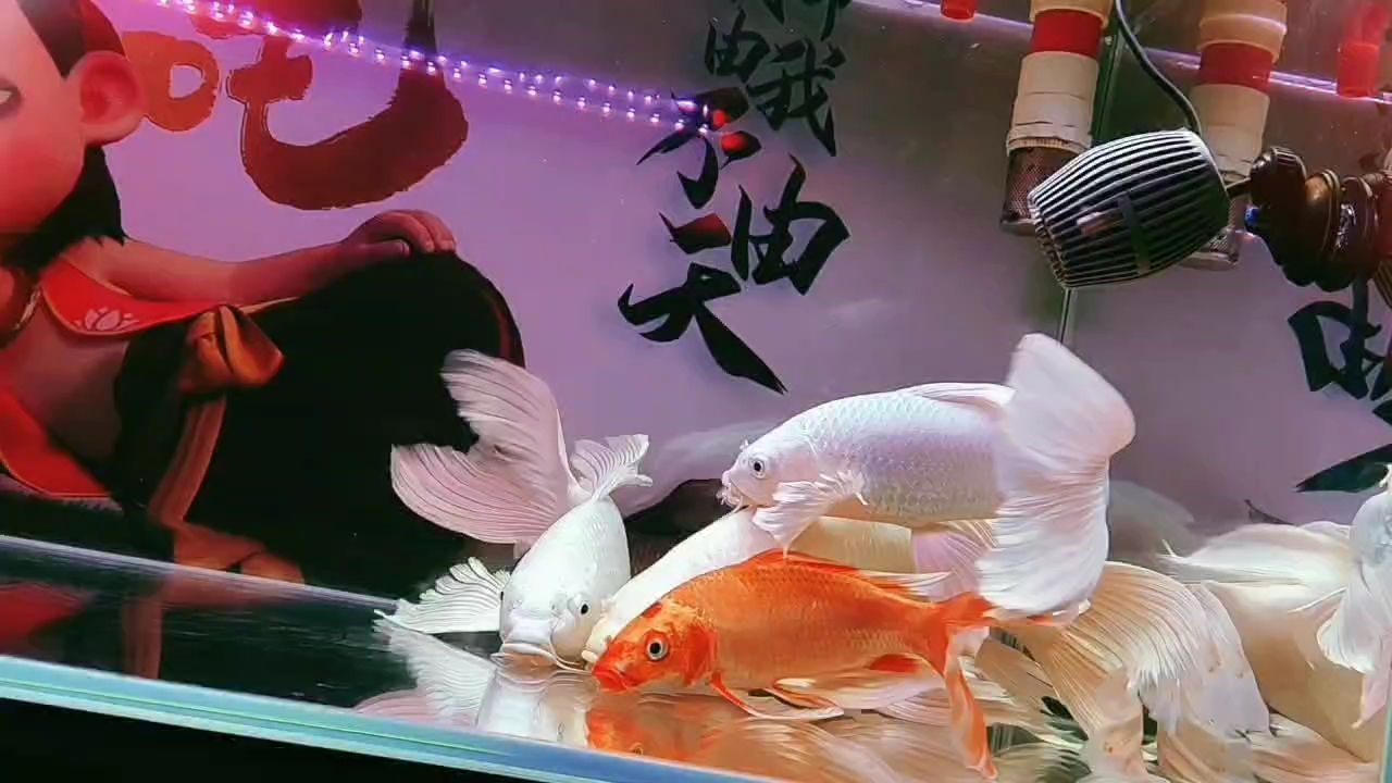 好久沒(méi)來(lái)了！重游故地，那些熟悉與陌生的交織回憶