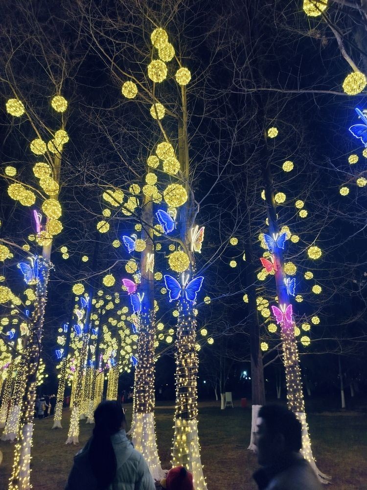 漂亮的花燈，點亮節日氛圍，綻放傳統技藝獨特魅力