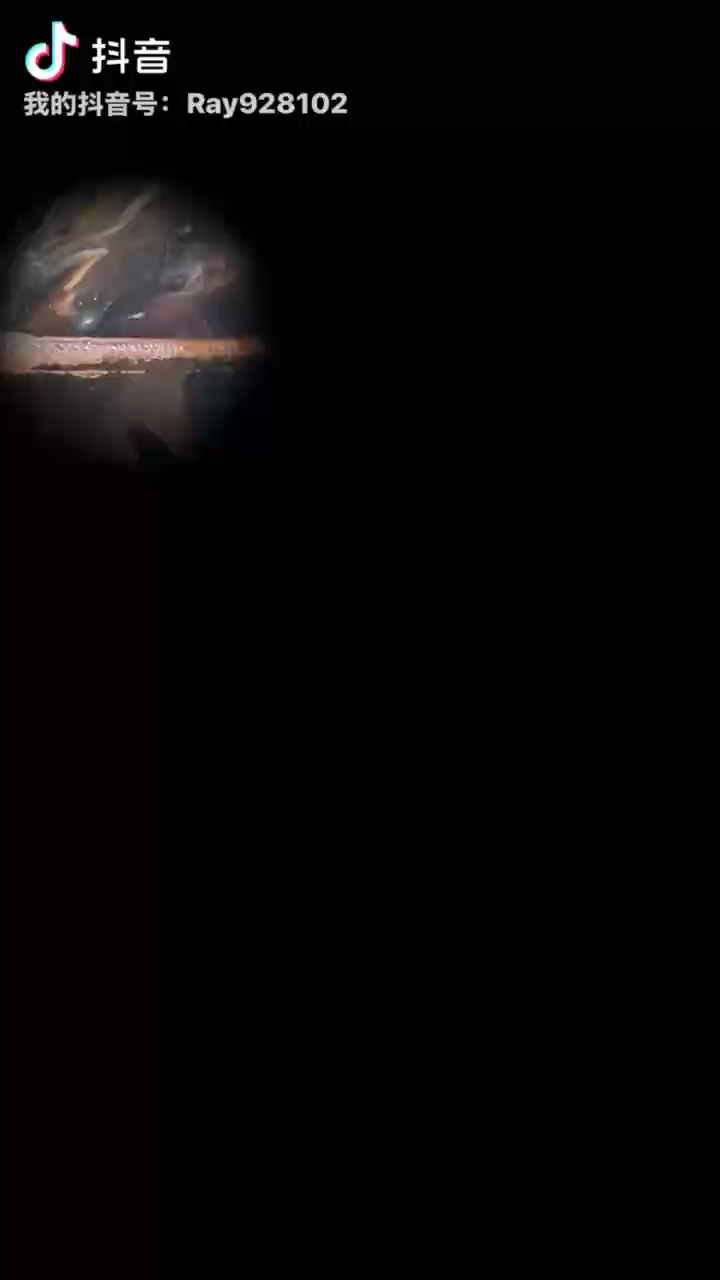 泰國原斗，史馬戈丁娜的傳奇故事與獨特