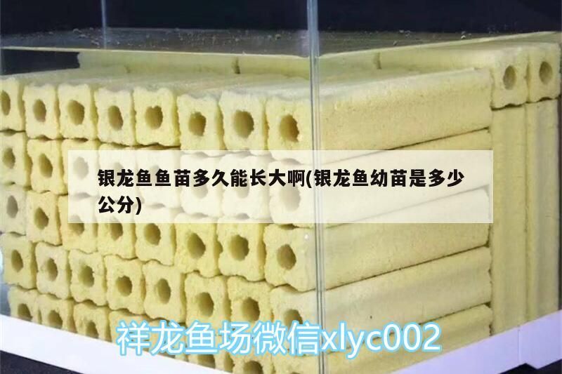 老張嘴不吃食怎么辦？，如何判斷老張嘴不吃食？