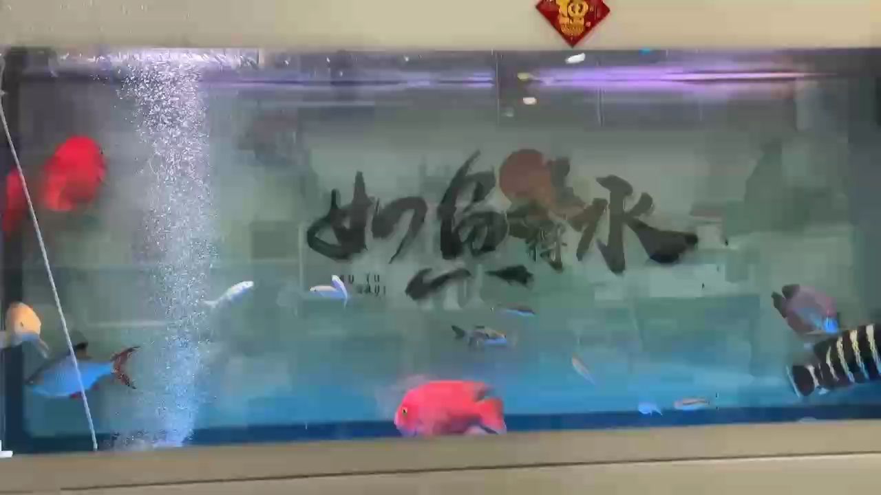 艱難求生，饑餓難耐的底層游困境實錄