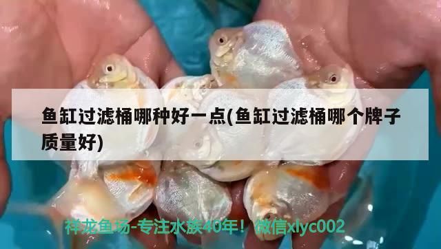 過濾桶選哪種好？