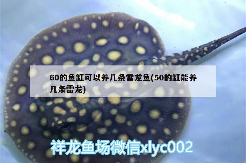 慕繼商貿店，品質商品匯聚，專業服務領航的商貿之